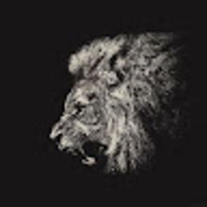 Meet your Posher, Chase